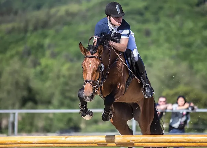 Masarykov Dvor Hotel